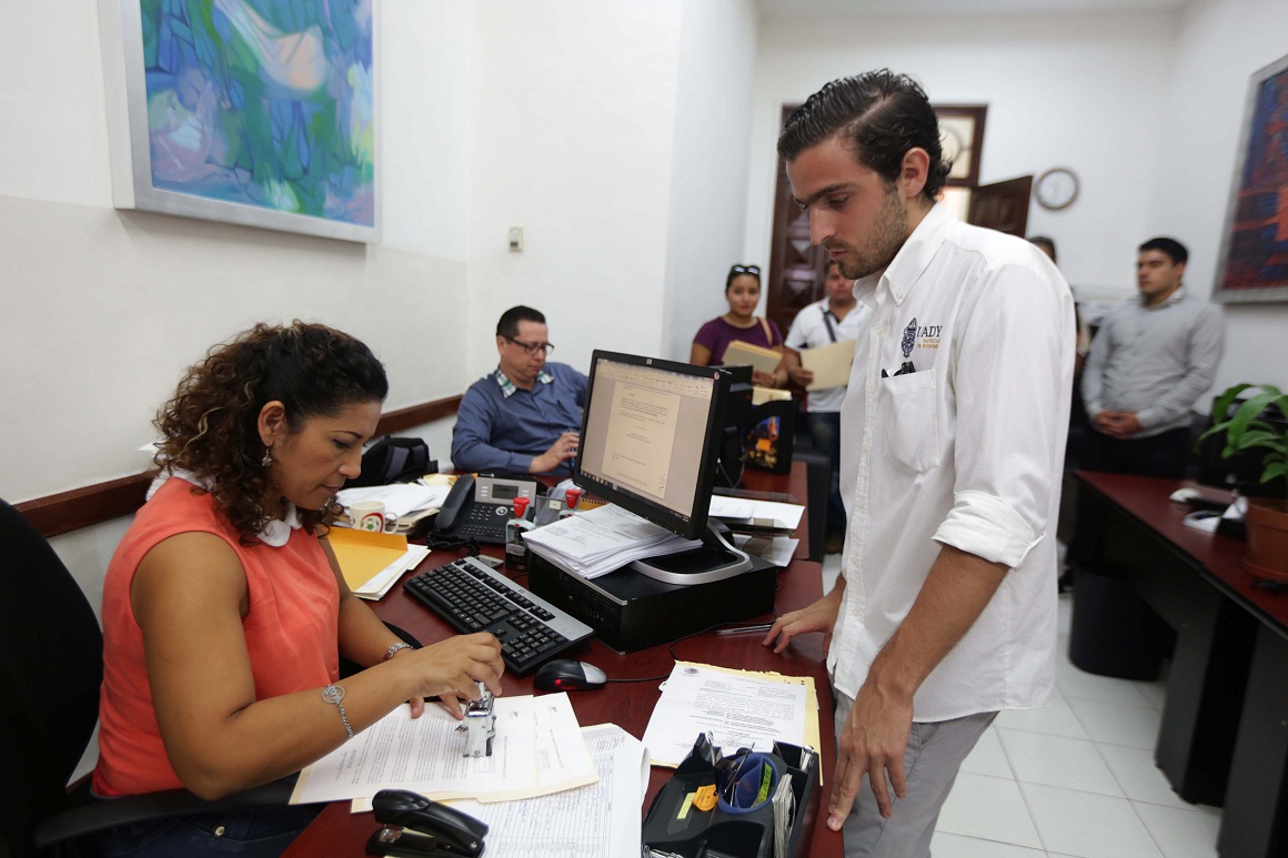 Piden a Vila que intervenga en la tala de frondosos árboles