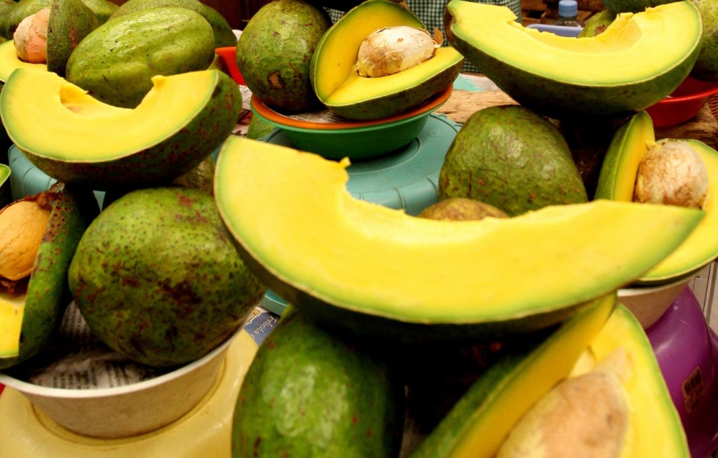 Antojo de aguacates le cuesta la vida: se electrocuta bajándolos