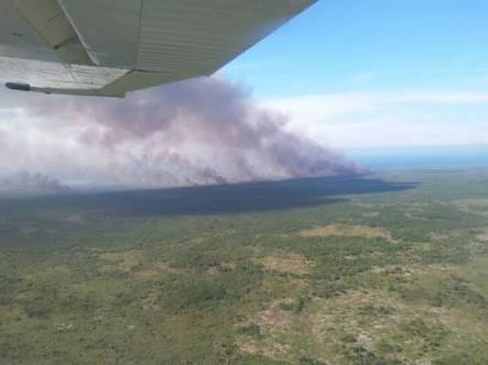 Controlado y extinto incendio forestal de Dzilam de Bravo