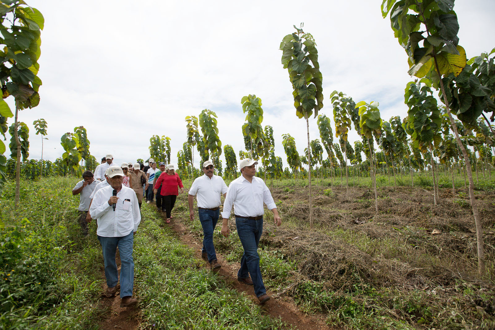 Nueva infraestructura carretera estimula producción del campo