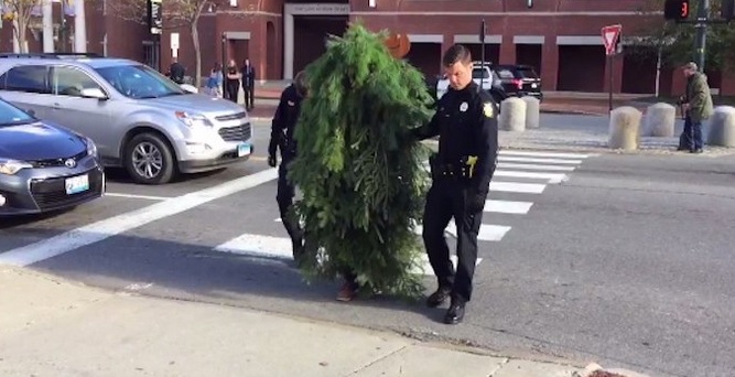 Policía de Estados Unidos detiene a un ‘árbol’