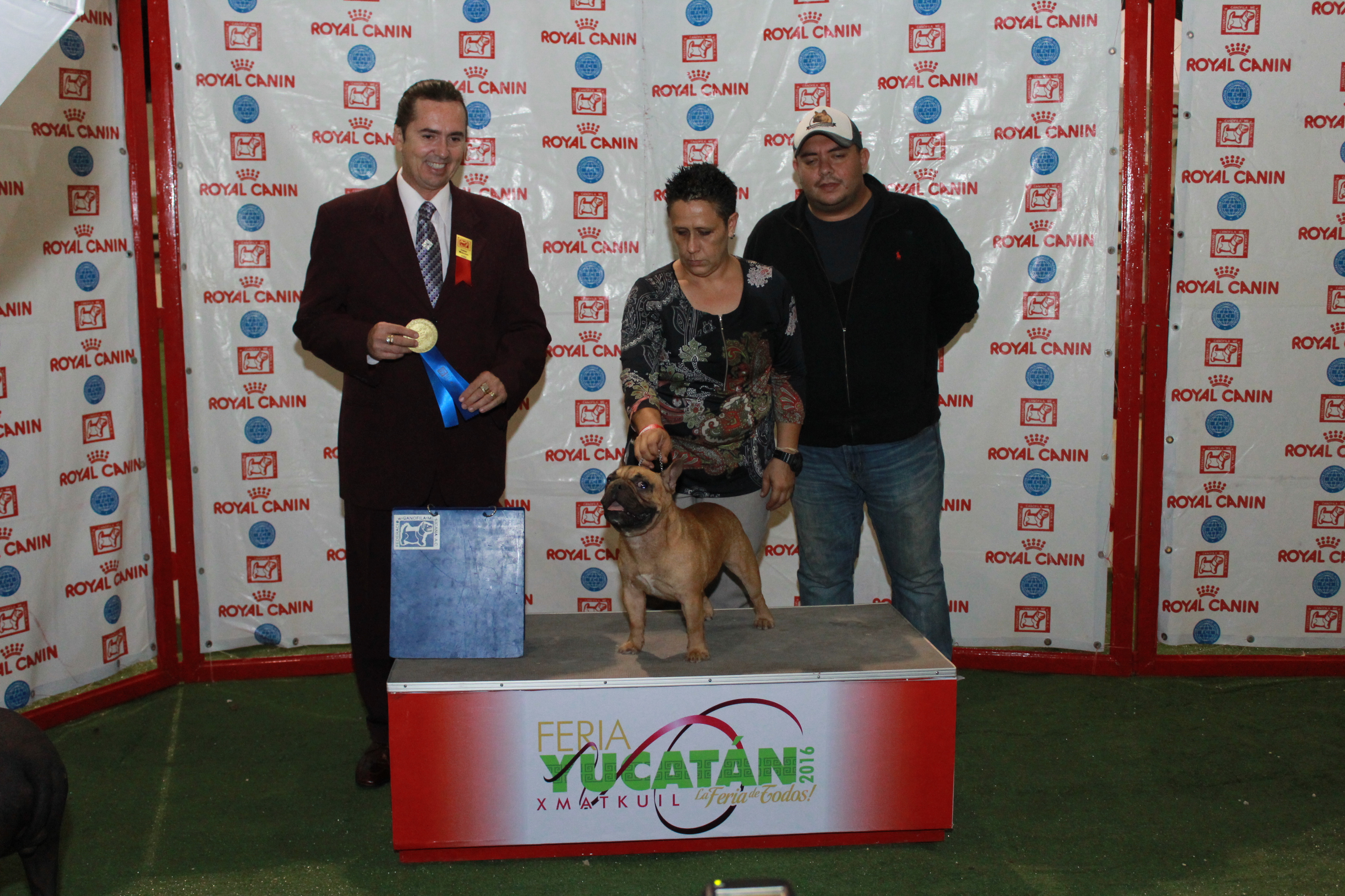 Realizan Exposición Nacional de Belleza Canina en la Feria Yucatán