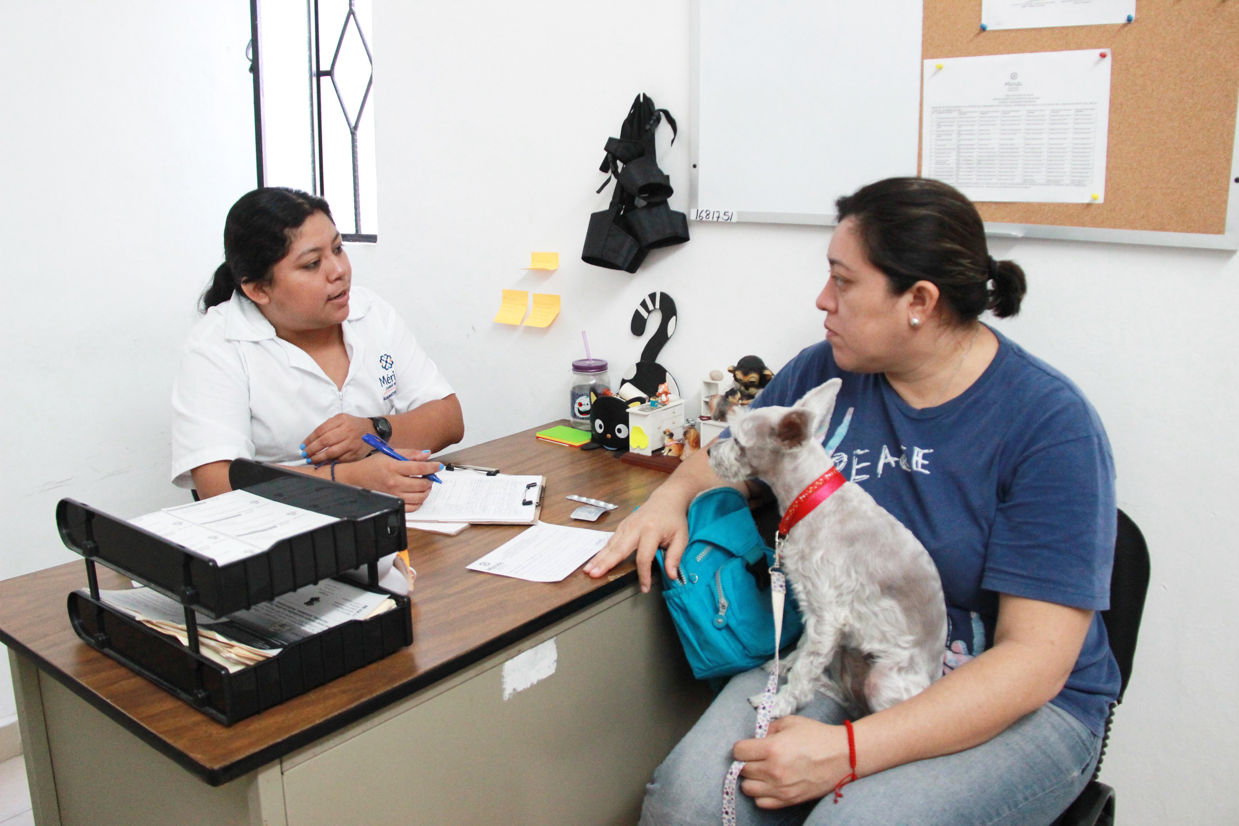 Módulo Veterinario Municipal, de gran ayuda para dueños de mascotas