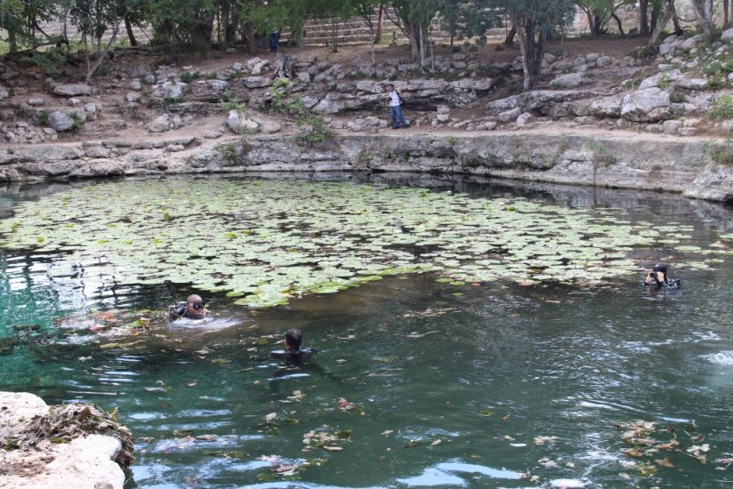 Bajo amenaza el ‘cenote sagrado’ de Dzibilchaltún