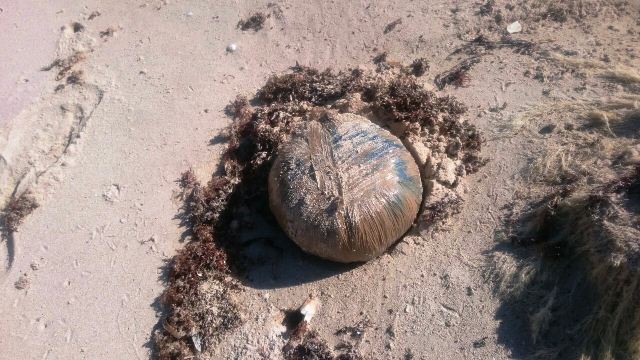 Encuentran droga en una playa de Yucatán