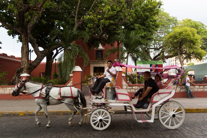 Cierre de año histórico en materia turística en Yucatán