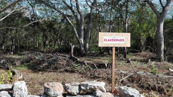 Clausuran predio por derribar árboles en terrenos forestales