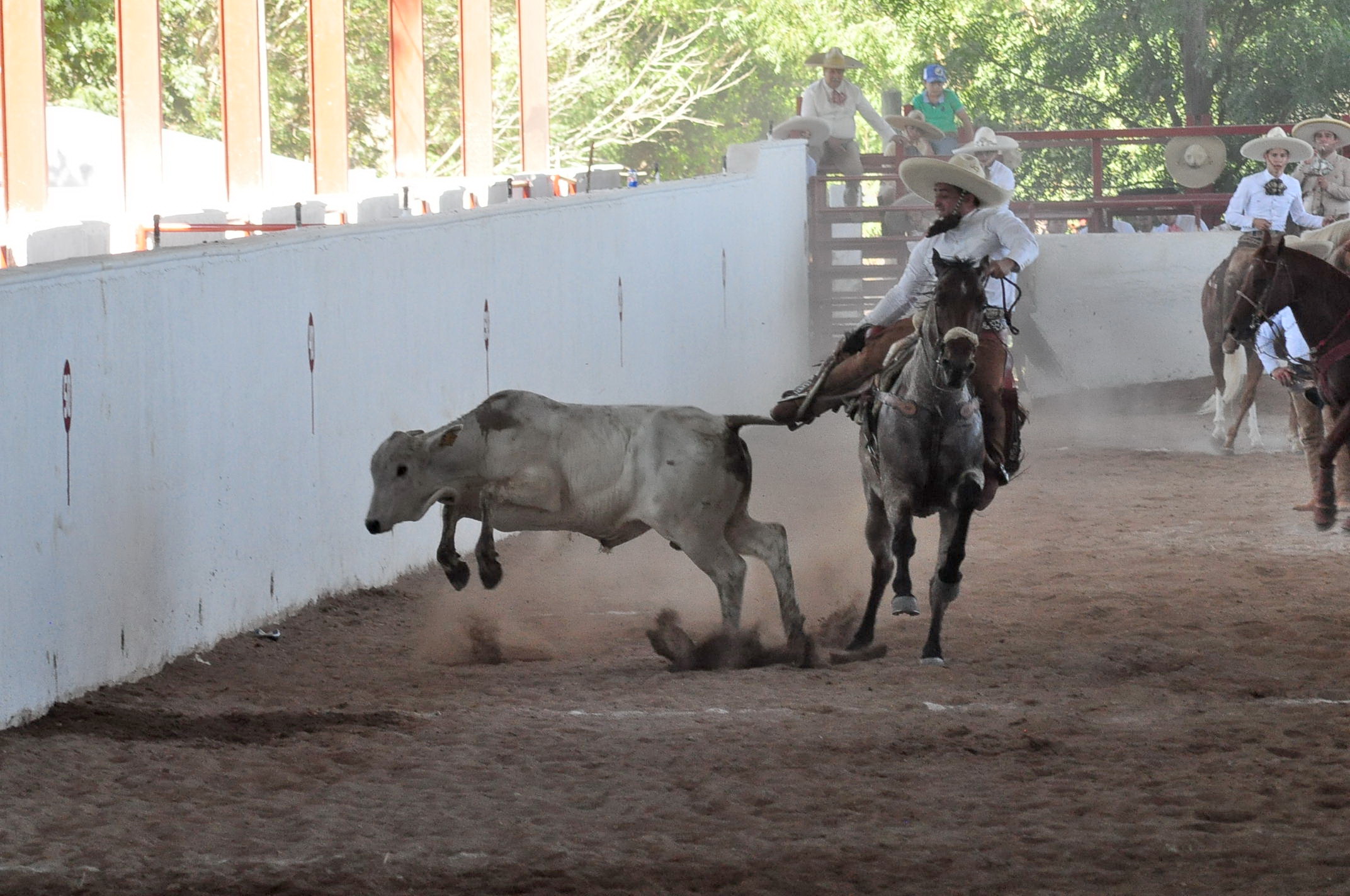 Arrancan competencias del Torneo Charro ‘Don Carlos Arturo Pérez Dueñas’