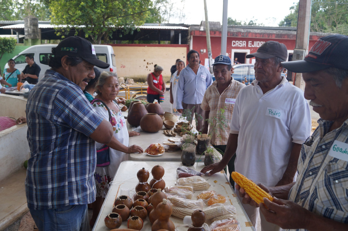 Feria de Proyectos Productivos Comunitarios en Tzucacab