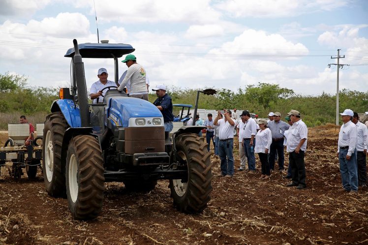 Campo yucateco, primer eslabón de la dinámica productiva del estado