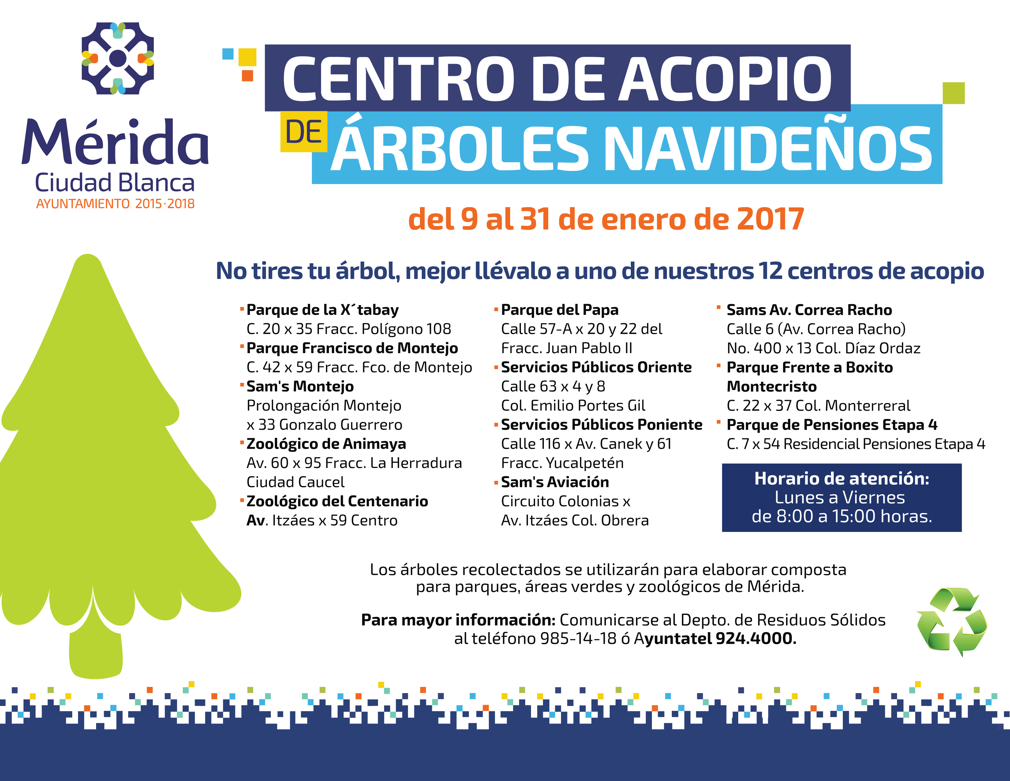 Abren centros de acopio para árboles de Navidad en Mérida