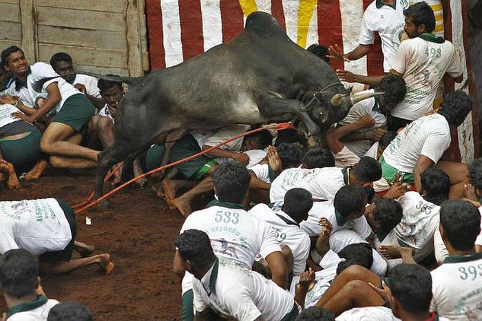 Fatal corrida de toros: mueren 2 y hay 28 heridos