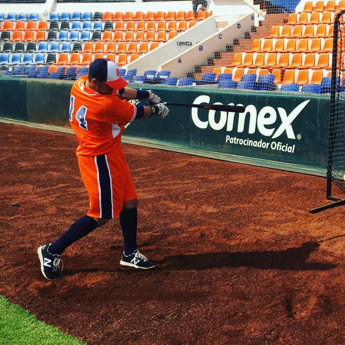 Sí, se va Tigres del béisbol mexicano