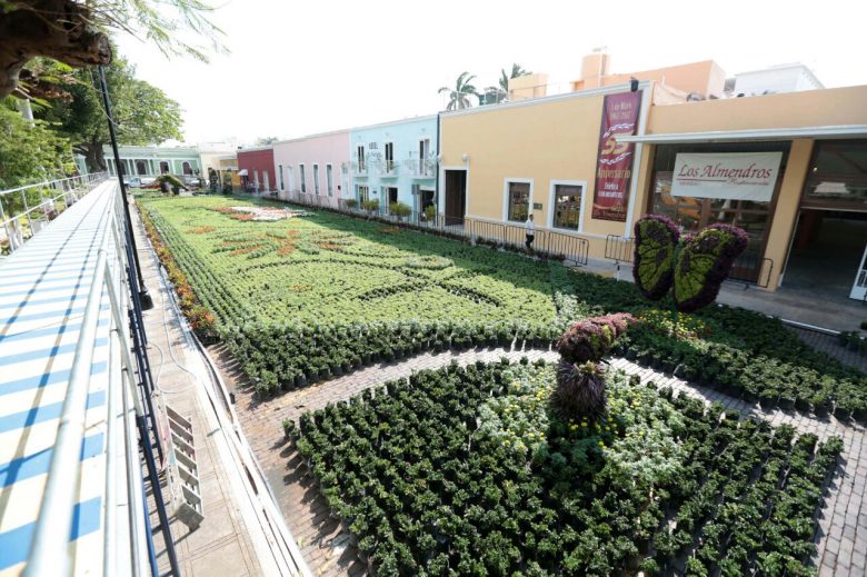 “Camino de Flores”, nuevo atractivo en el parque de La Mejorada