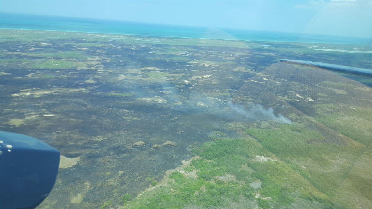 Reportan bajo control incendio forestal en Río Lagartos