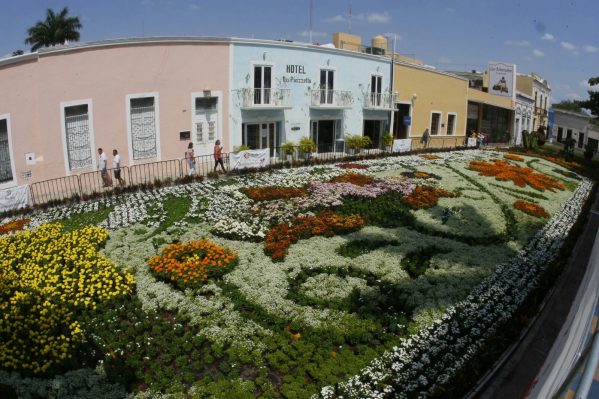 Camino de Flores se prolongará una semana más.