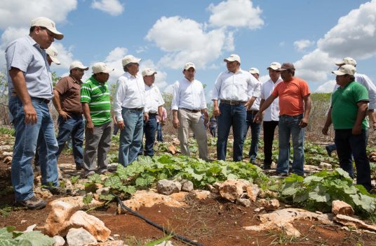 Peso a Peso, cuatro años impulsando a productores del estado