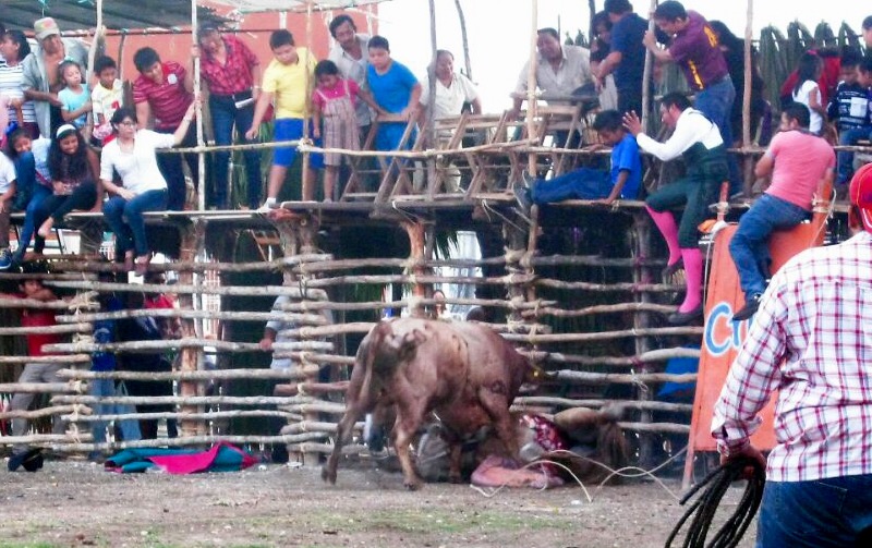 Toro destripa yegua en ‘tradicional’ corrida yucateca