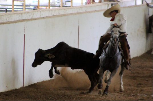 Rancho Ixtul, a la final del Circuito Charro Península 2017