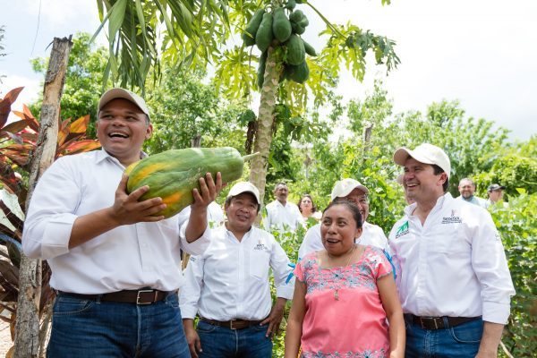 Apoyos para familias, campesinos y artesanas del oriente del estado.