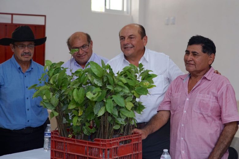 Entrega la Semarnat plantas de Ramón y Maculís a ejidatarios de Muna