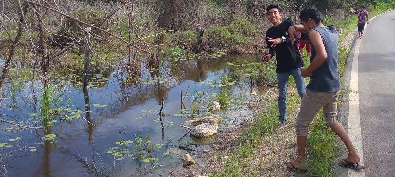 Insólita «lluvia de peces» vuelve pescadores a los tekaxeños