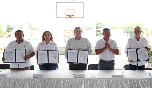 Sembrarán 500 mil plantas en Yucatán