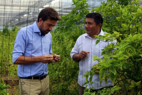 «Mujeres y hombres, responsables del crecimiento industrial en Yucatán», Pablo Gamboa