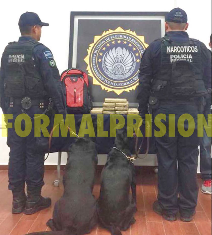 Llega de Chiapas con 9 kilos de cocaína en su mochila