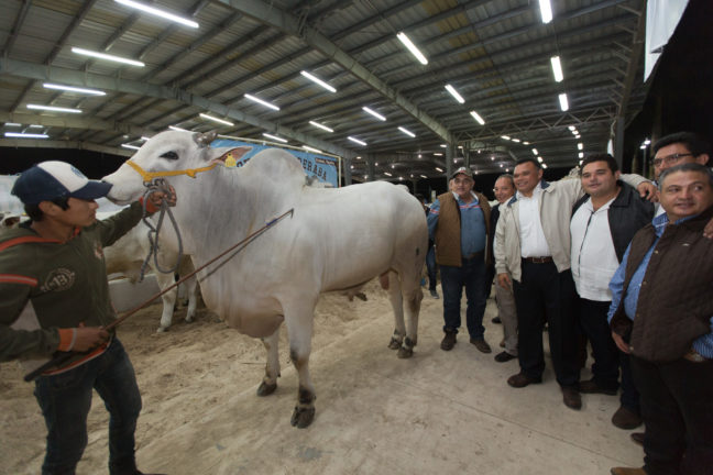 Se inaugura la edición 2018 de la Expo Feria de Tizimín