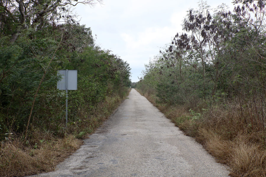 Múltiples beneficios con la «nueva» carretera Sierra Papacal-Chuburná