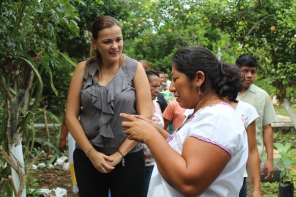 Más opciones para el autoempleo en comisarías