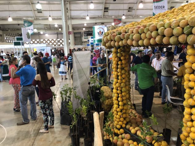 Un éxito la décima edición de Expocampo Yucatán