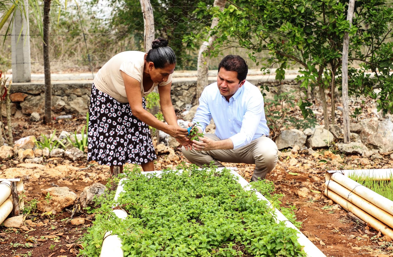 Huertos de traspatio contribuyen con la economía familiar