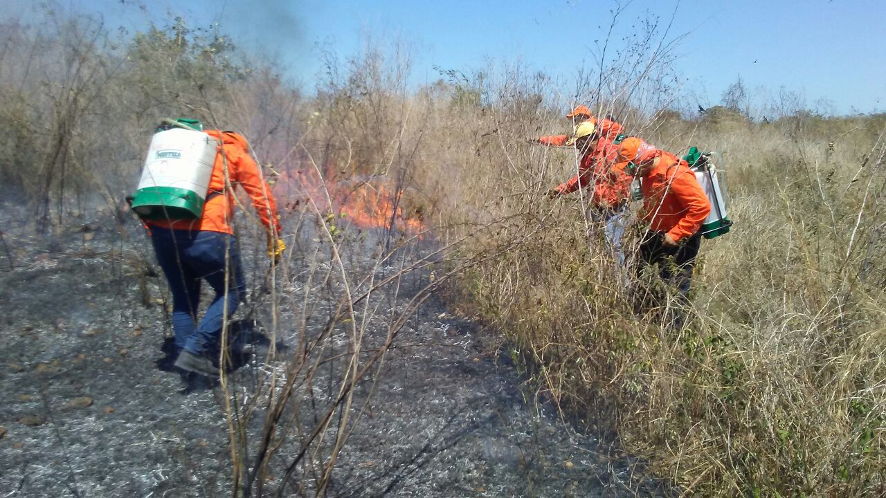 Prohibidas en abril las quemas agrícolas en territorio yucateco.