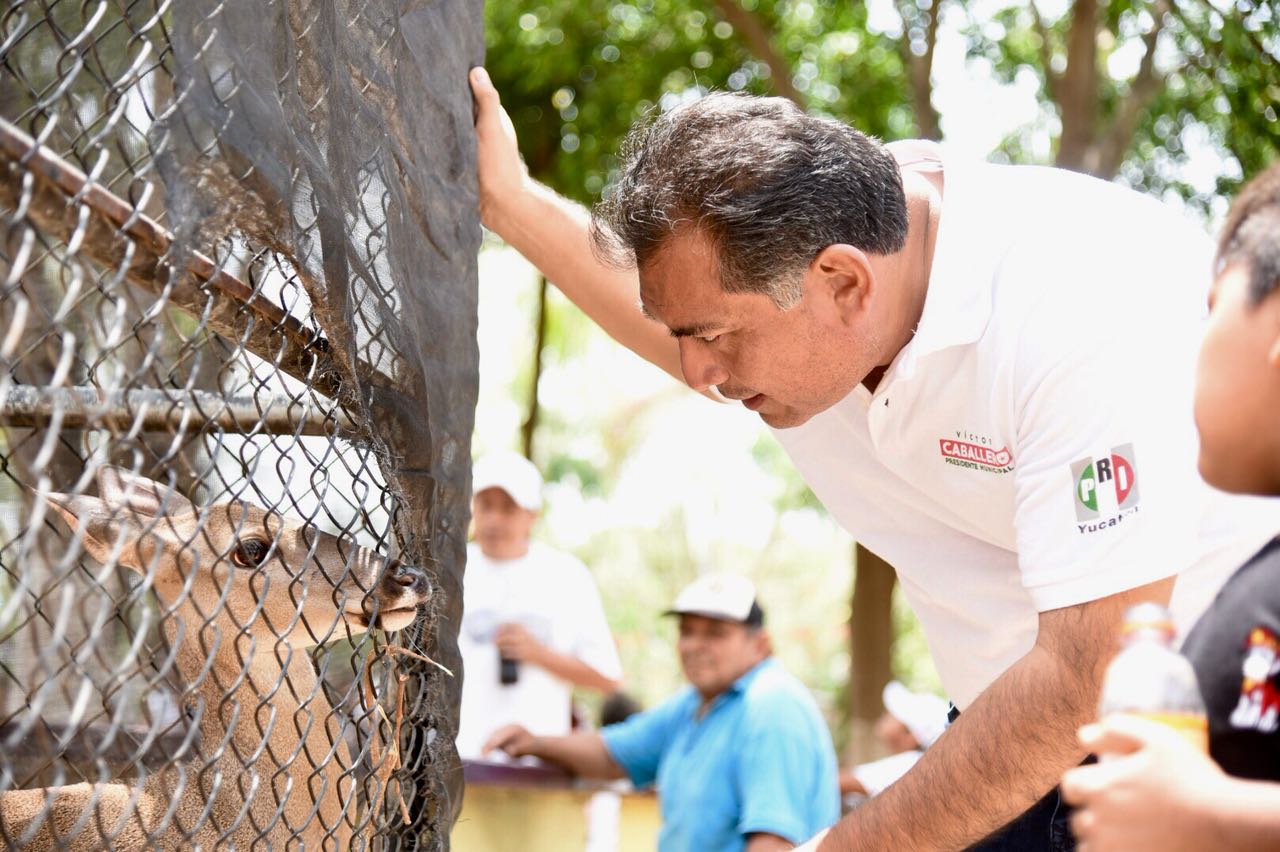 Impostergable el cuidado a los animales y al medio ambiente: Caballero Durán