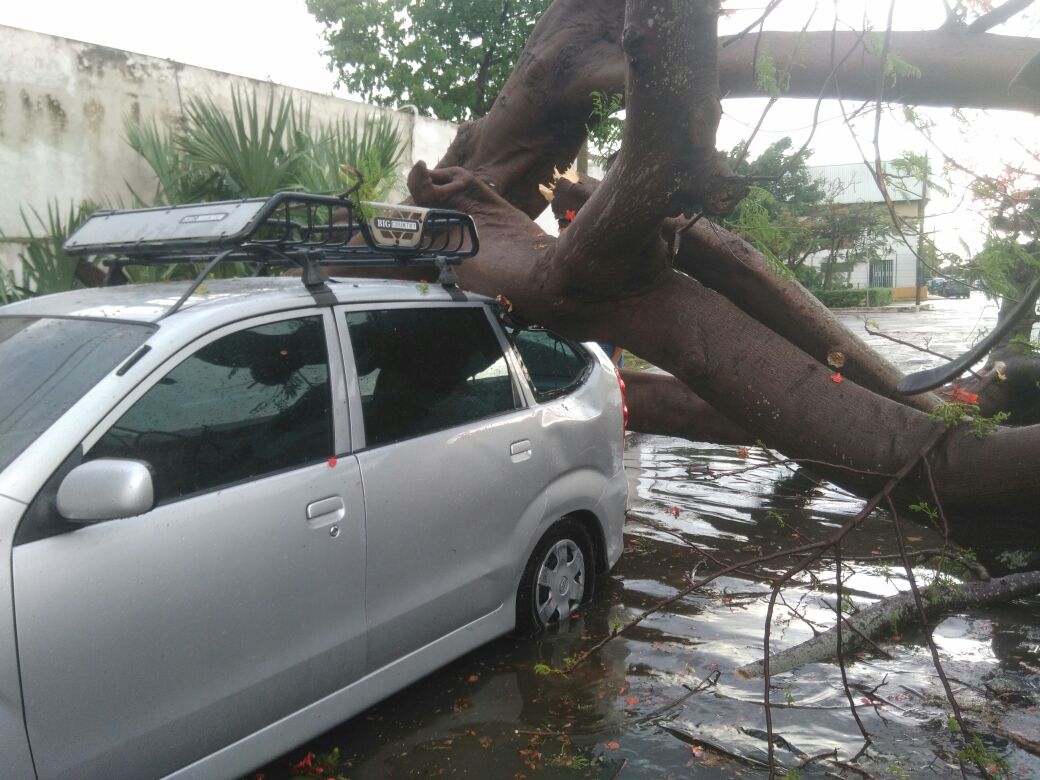 Atiende el Ayuntamiento efectos de la lluvia en Mérida