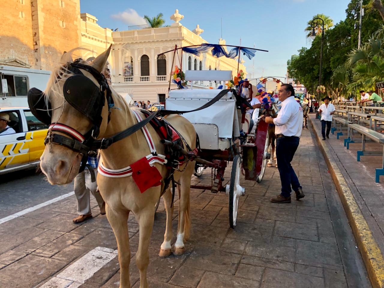 Propone Víctor Caballero sustituir calesas tiradas por caballos