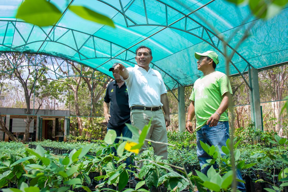 Mérida es una gran ciudad que necesita garantizar su medio ambiente: Caballero Durán