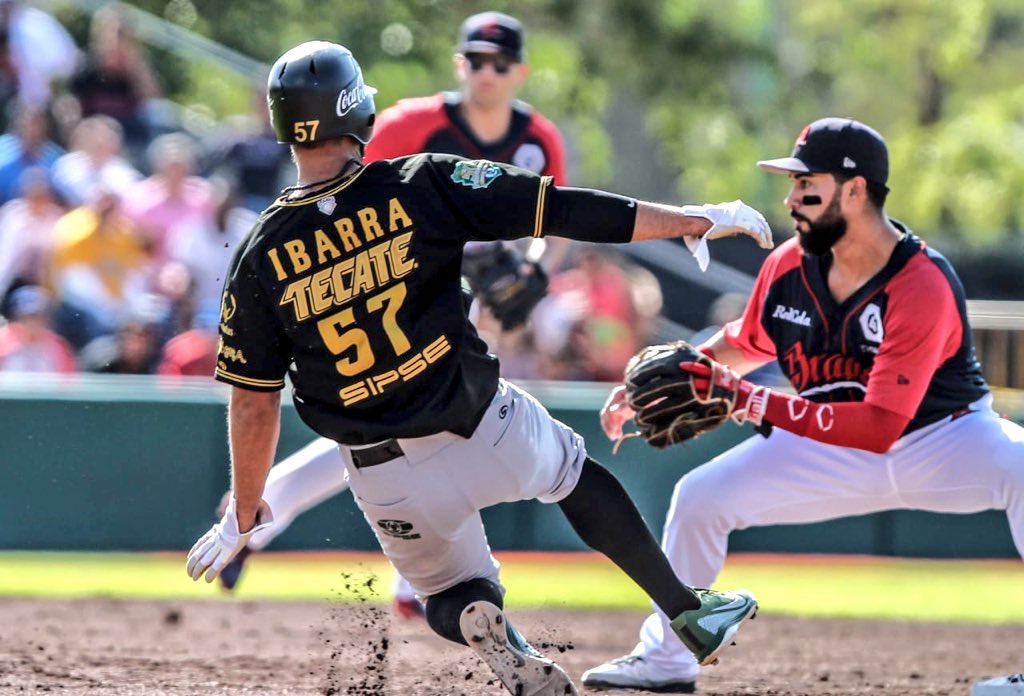 Leones y Tigres disputarán el campeonato de la Zona Sur