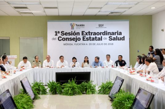 El Consejo Estatal de Salud pide extremar precauciones por la influenza