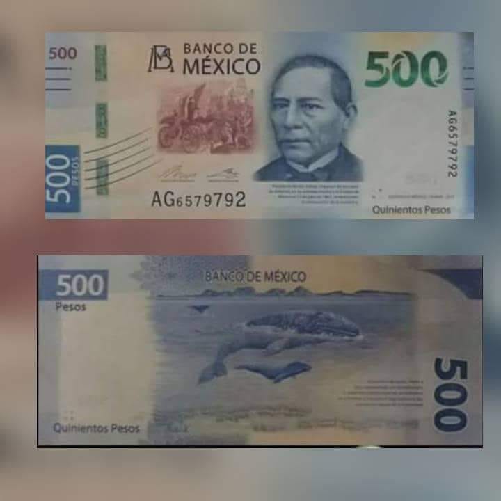 Habrá nuevo billete de $500 desde este lunes