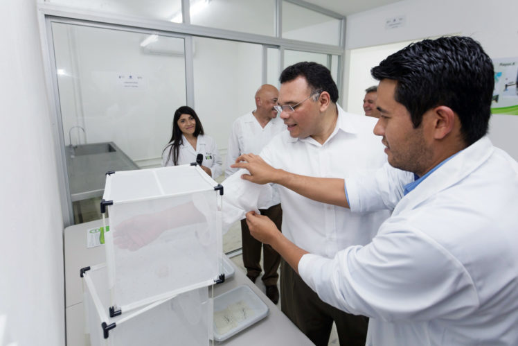 Inauguran Laboratorio de Control Biológico contra el mosquito Aedes aegypti