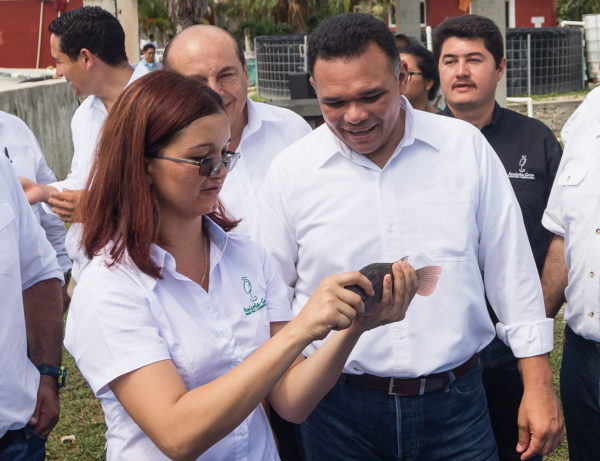 Producción pesquera yucateca, competitiva a nivel mundial