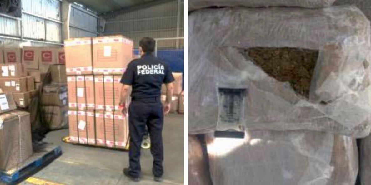 Decomisa Policia Federal 135 kilos de marihuana en Mérida