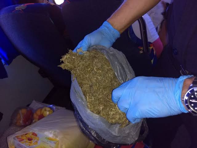 Envían 10 kilos de mariguana en camión del ADO