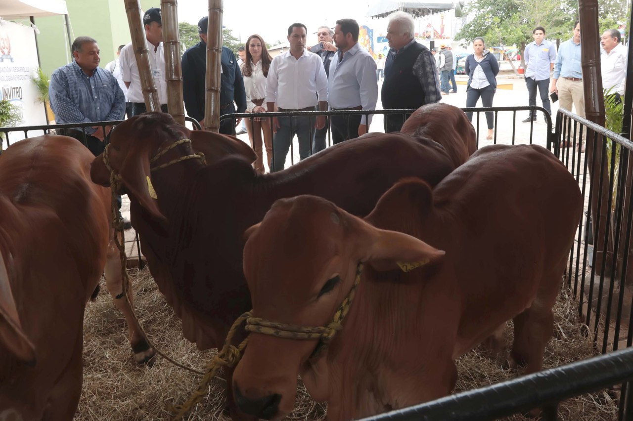 Feria Yucatán X’matkuil, referente de la industria ganadera