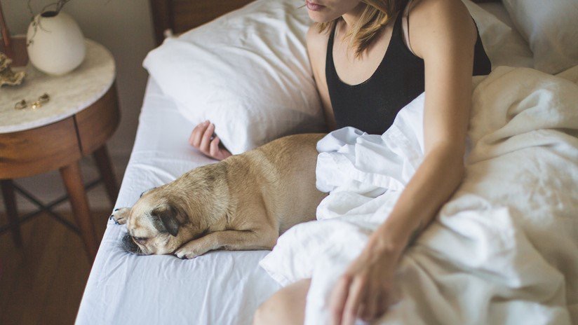 Mujeres duermen mejor con un perro al lado…y no, no hablamos del marido