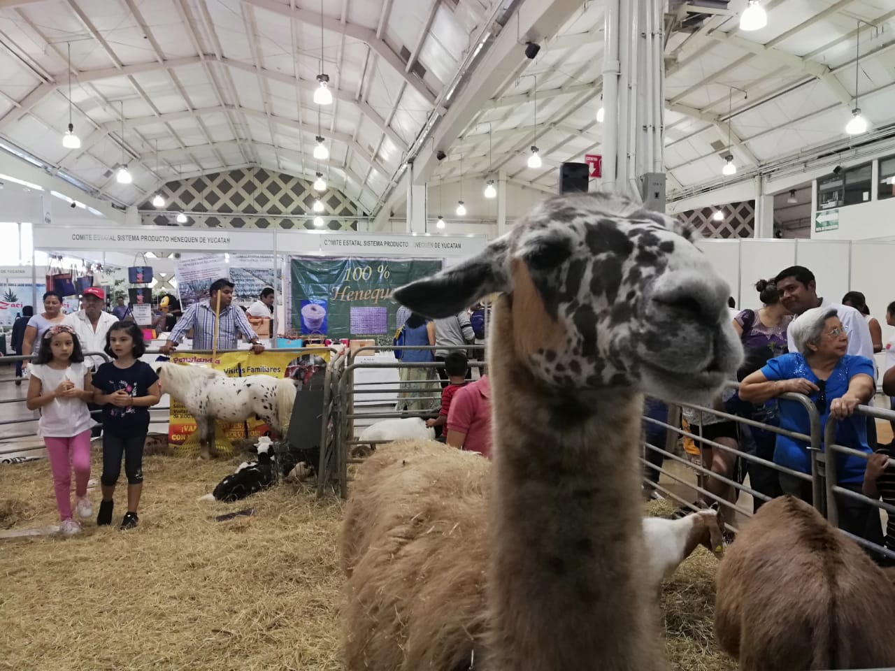 Baja el telón Expocampo Yucatán 2019