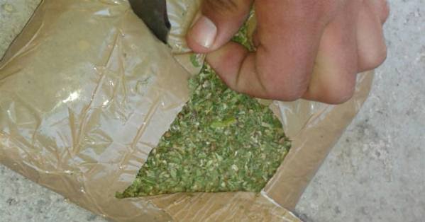 Se salva de la cárcel pese a que llevaba medio kilo de marihuana